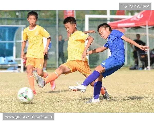 中国足球青训成果展示会举办,中国足球青训现状2019 中国足球青训成果展示会举办,中国足球青训现状2019