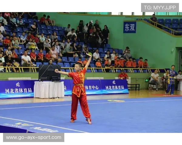 体育新闻中心聚焦青少年多样化运动兴趣发展路径,促进青少年体育事业发展建议 体育新闻中心聚焦青少年多样化运动兴趣发展路径,促进青少年体育事业发展建议