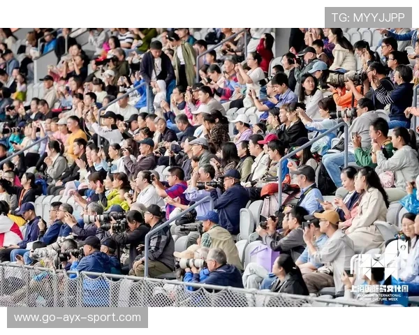城市与赛事组委会合作推出赛事文化周丰富市民生活，城市赛规则