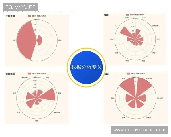 球队数据分析师职业路径与晋升规范建议，球员数据分析